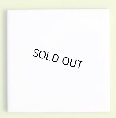 画像1: 300角 B-1 磁器質 内外装壁 白色ブライト ※次回4月中旬入荷予定