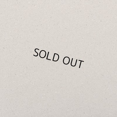 画像1: 300角床タイル　NZ-12