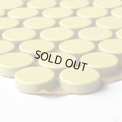 画像2: ※次回生産R8/10月予定　プリセラ19V 