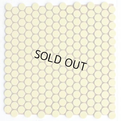 画像1: ※次回生産R8/10月予定　プリセラ19V 