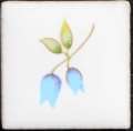 25角/Nシリーズ アクセント絵タイル　花青色
