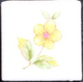 25角/Nシリーズ アクセント絵タイル　花黄色