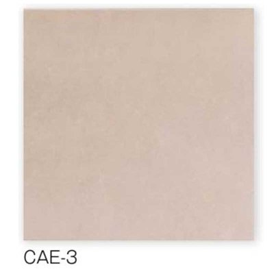 画像5: 【300角】Caesar