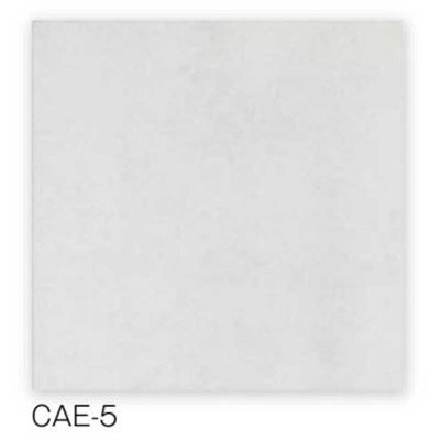 画像7: 【300角】Caesar