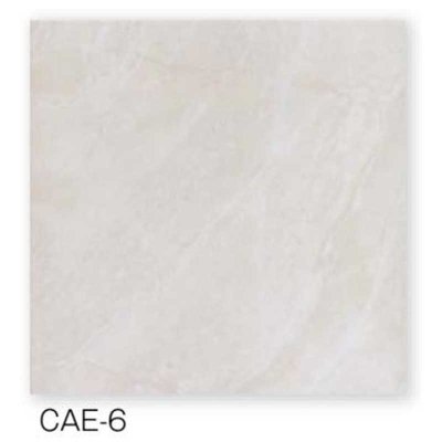 画像8: 【300角】Caesar