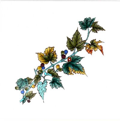 画像3: 木の実シリーズ　セット販売　