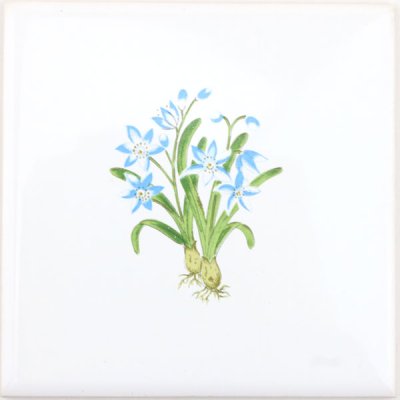 画像1: 【大特価】100角 花柄ポイントタイル 青花