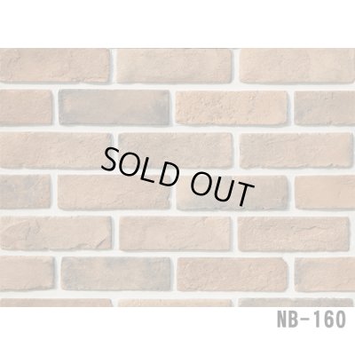 画像10: 【セメント系ブリック】軽量 OLD BRICK 枚数販売