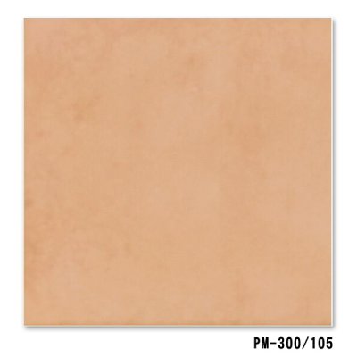 画像7: 【ケース販売】300角 ゼタ