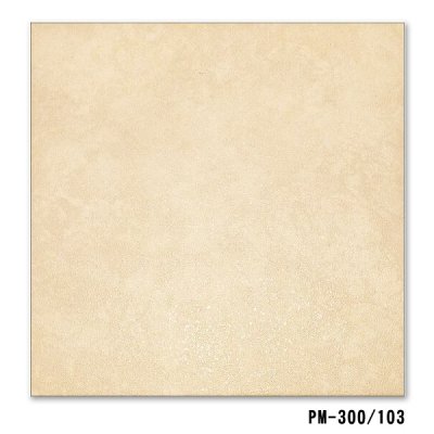 画像5: 【ケース販売】300角 ゼタ