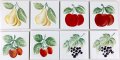 大特価　100角 絵タイル　果物8枚セット