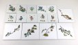 画像1: 廃番品　絵タイル　まとめ売り15枚セット (1)