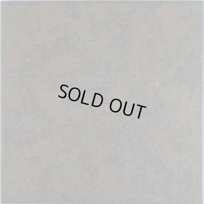 画像1: 数量限定！バルセロナ_NS-9A