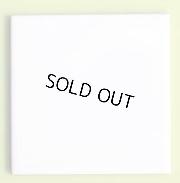 画像1: 300角 B-1 磁器質 内外装壁 白色ブライト ※次回4月中旬入荷予定 (1)