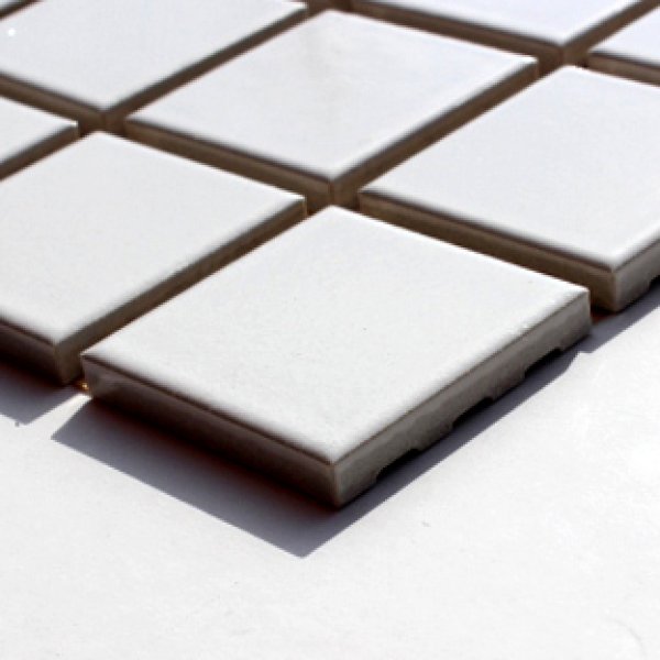 画像2: プリセラ45Ｖ　白ブライト (2)