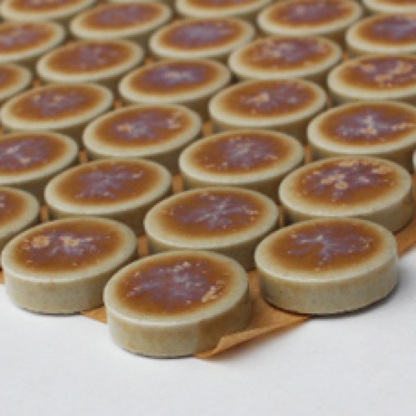 画像2: プリセラ19N 19丸  (2)