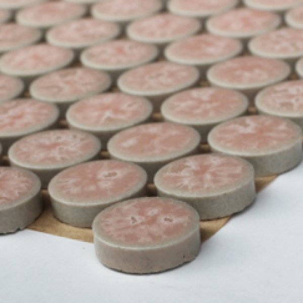 画像2: プリセラ19N 19丸  (2)