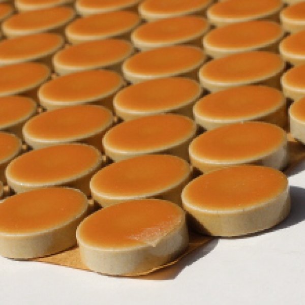 画像2: プリセラ19V  (2)