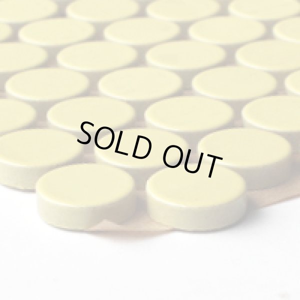 画像2: ※次回生産R8/10月予定　プリセラ19V  (2)