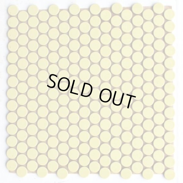 画像1: ※次回生産R8/10月予定　プリセラ19V  (1)