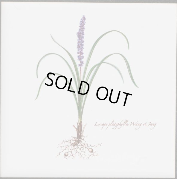 画像1: 100角 絵タイル　ヒメヤブラン　 (1)