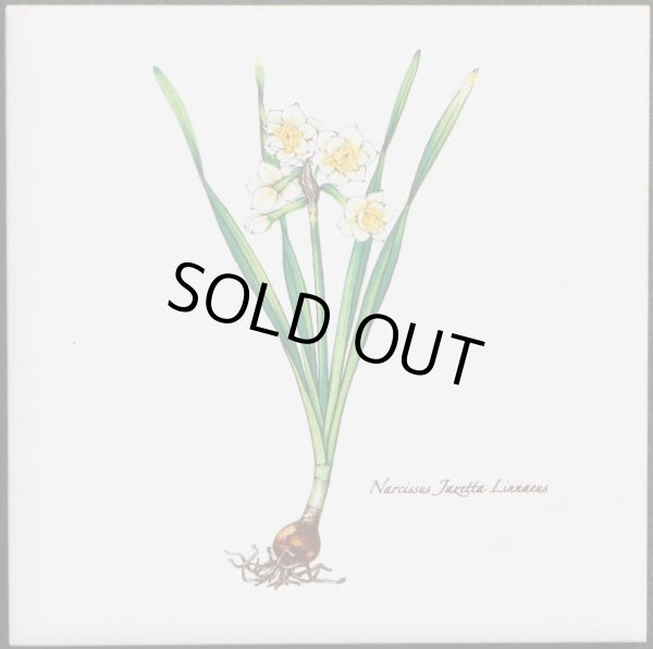 画像1: 100角 絵タイル　スイセン　 (1)