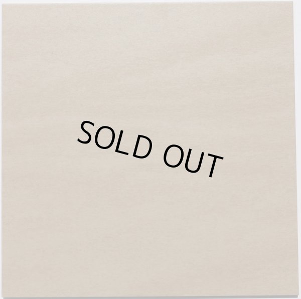 画像2: アウトレット　ナチュラルアースカラー　300角タイル　AC-82D　ケース単位販売 (2)