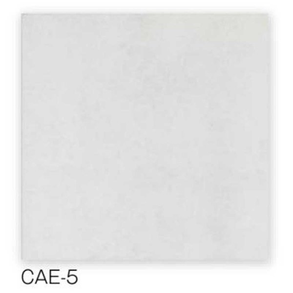 画像7: 【300角】Caesar (7)