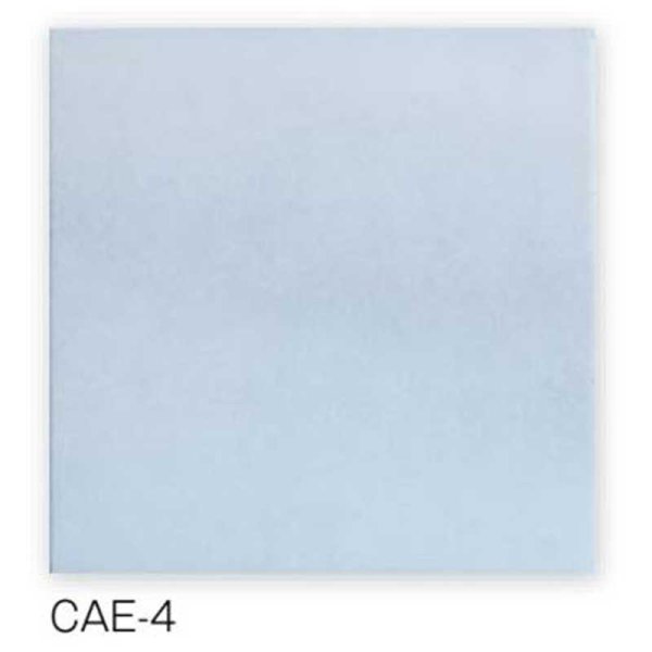 画像6: 【300角】Caesar (6)