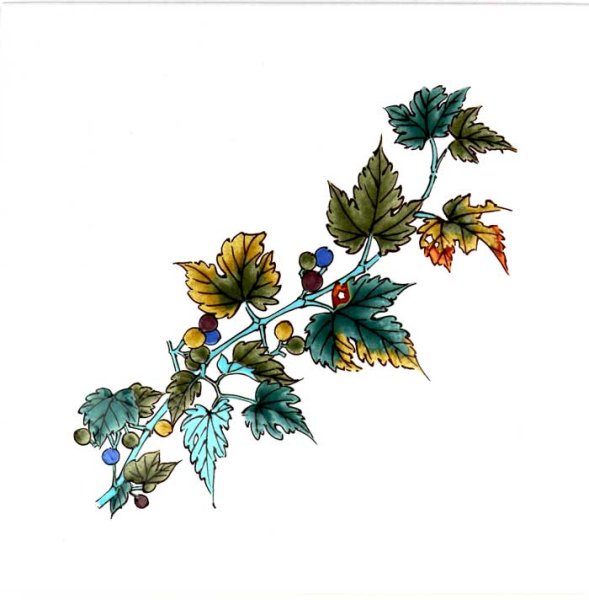 画像3: 木の実シリーズ　セット販売　 (3)