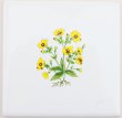 画像1: 【大特価】100角 花柄ポイントタイル 黄花 (1)