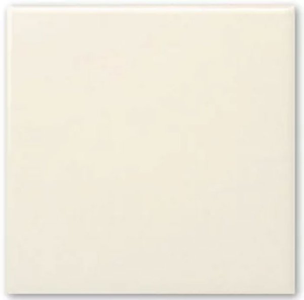 画像1: 200角 陶器質 アイボリーブライトタイル（枚数購入） (1)