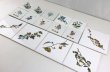画像2: 廃番品　絵タイル　まとめ売り15枚セット (2)
